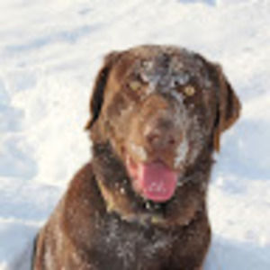 Meet your Posher, Skyla